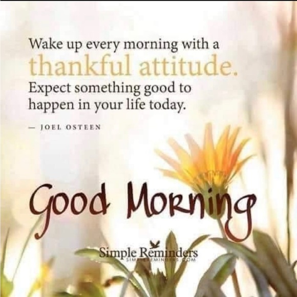 Cheers 😊 Relax nd Enjoy 💗💗🙏🙏 - Picture 2 of 16